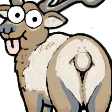 fionButt fionButt