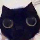 Meow