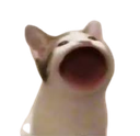 open_moth_cat_meme_ico Discord emoji
