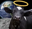 holycowthatsoutofthisworld