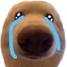 RGR_dogcry