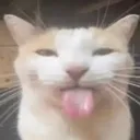 FeelingALilGoofy
