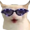 Pog