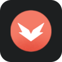 icon_hypesquadbrilliance