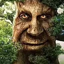 wisemysticaltree