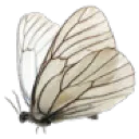 anomaly