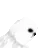 forsenPossessed forsenPossessed