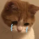 sad_cry sad_cry