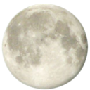 F_whitemoon Discord emoji