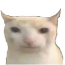 Catbruh catbruh Discord Emoji