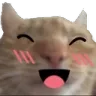 Cat Sshf Discord Emoji