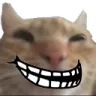 cat_trollface Discord Emoji