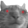Cat Cursed Discord Emoji