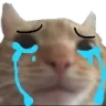 Cat Crying cat_crying Discord Emoji