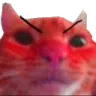 Cat Angry cat_angry Discord Emoji