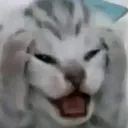 crisis