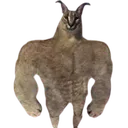 images__20220815T154444