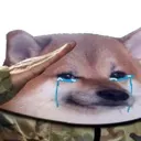 salutedoggo