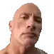 SusTheRockJohnson