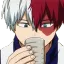 todoroki_sip