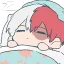 TodorokiSleep