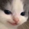 hehe hehe