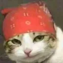 __ __