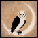 :owl~1: