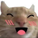 zc_blushcat Discord Emoji