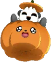 Panda Pumpkin pandapumpkin Discord Emoji