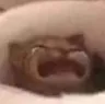 WAAAAAAAH