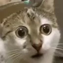 concern