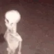 ogmaniDeads
