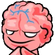 bigbrain bigbrain