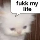 fml