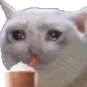 SST_SadcatMilkshake