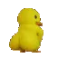 DuckTwerk