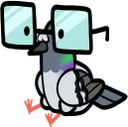 birdnerd
