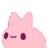 bunvibe