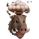 e_boar