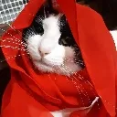 redloki Discord Emoji