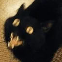 Spookycat Discord Emoji
