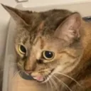 emoji_1