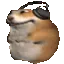 hamsterjam
