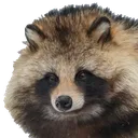 tanu