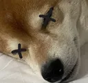 mucded mucded