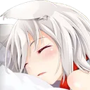 wanSleep
