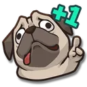 dog5