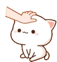 catheadpatanim