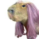 Capykaren